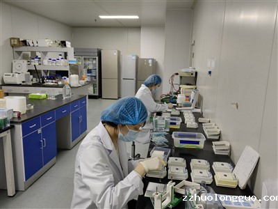 生产实力1