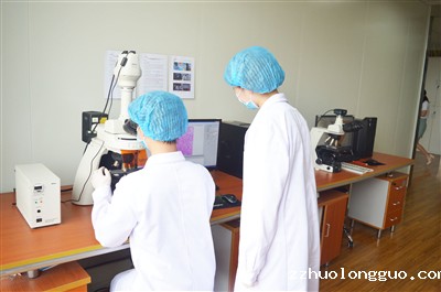 实验操作教学