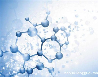 分子实验检测