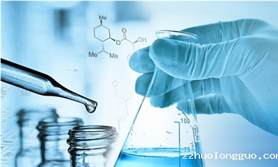 分子克隆与载体构建