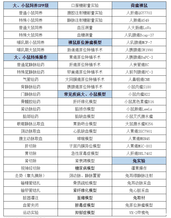 动物模型.png