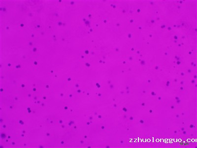 s_637607486423295325_3.jpg