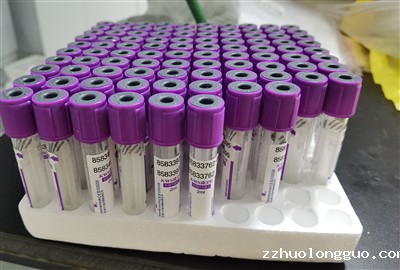 动物实验检测